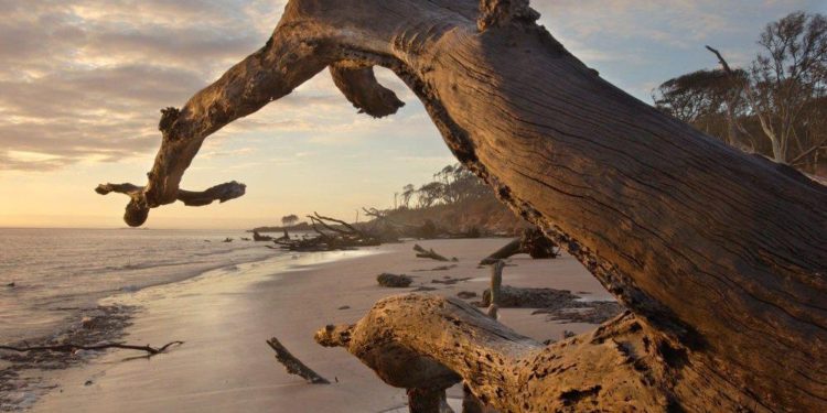 Florida’s Most Underrated Destination For Nature Lovers