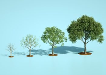 3 articles on growth marketing and software development – TechCrunch