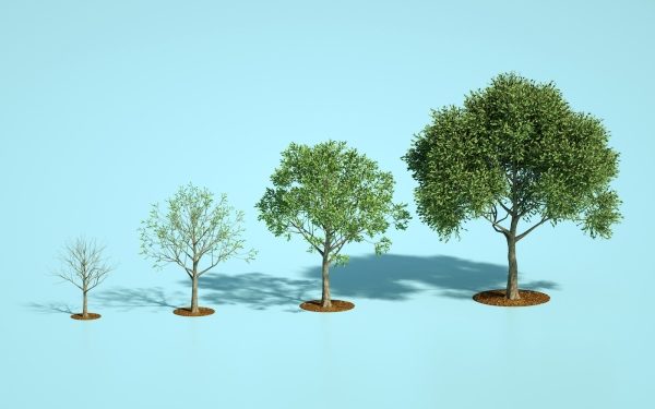 3 articles on growth marketing and software development – TechCrunch