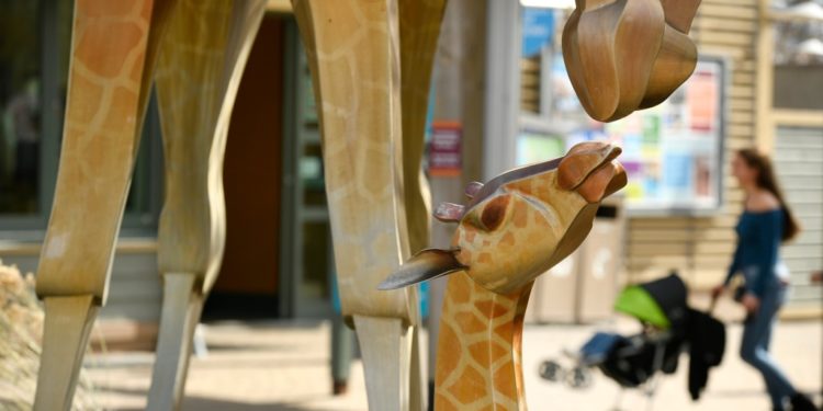 Denver Zoo sells out for the weekend as guest capacity is limited.