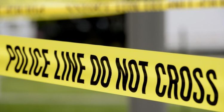 Denver police arrest man accused of assaulting RTD security officer – The Denver Post