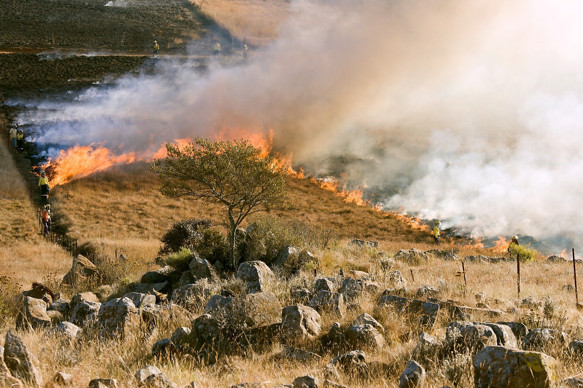 Exposure to wildfire smoke linked to altered DNA structure in monkeys