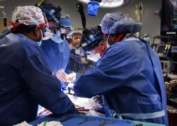 First person to receive a pig heart transplant dies after two months