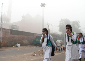 Longterm Air Pollution Exposure Might Increase The Risk Of Irritable Bowel Disease & Rheumatoid Arthritis