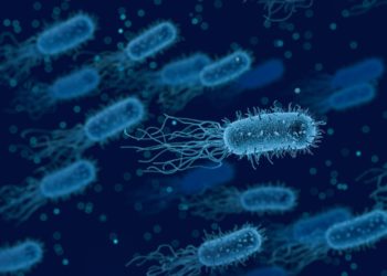 Lower life expectancies of socially disadvantaged linked to reduced microbial exposures