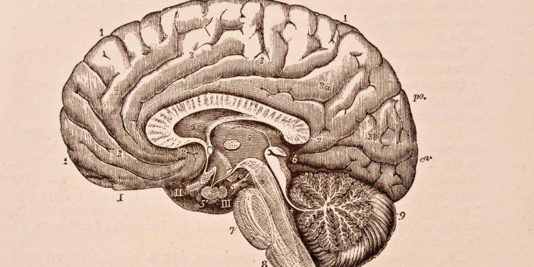 Memory And Concentration Problems Affect 70 Percent Of Long Covid Patients
