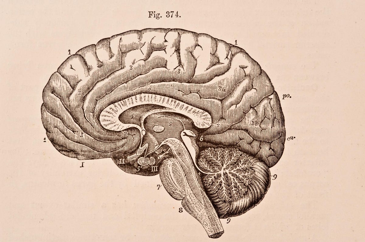 Memory And Concentration Problems Affect 70 Percent Of Long Covid Patients