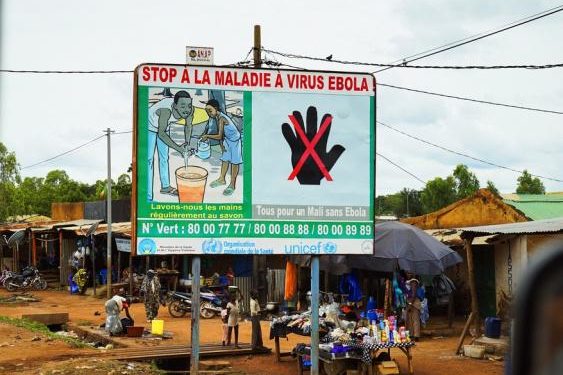 New And Effective Monoclonal Antibody Treatment For Ebola On The Horizon