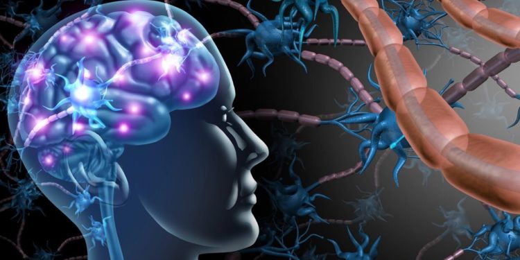 Study suggests Keto diet helps people with multiple sclerosis