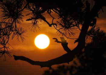 Warmer nights may lead to more cardiovascular deaths among men