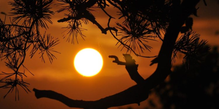Warmer nights may lead to more cardiovascular deaths among men