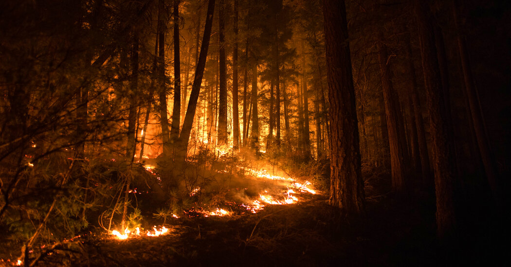 PG&E agrees to pay $55 million in penalties and costs over two wildfires.