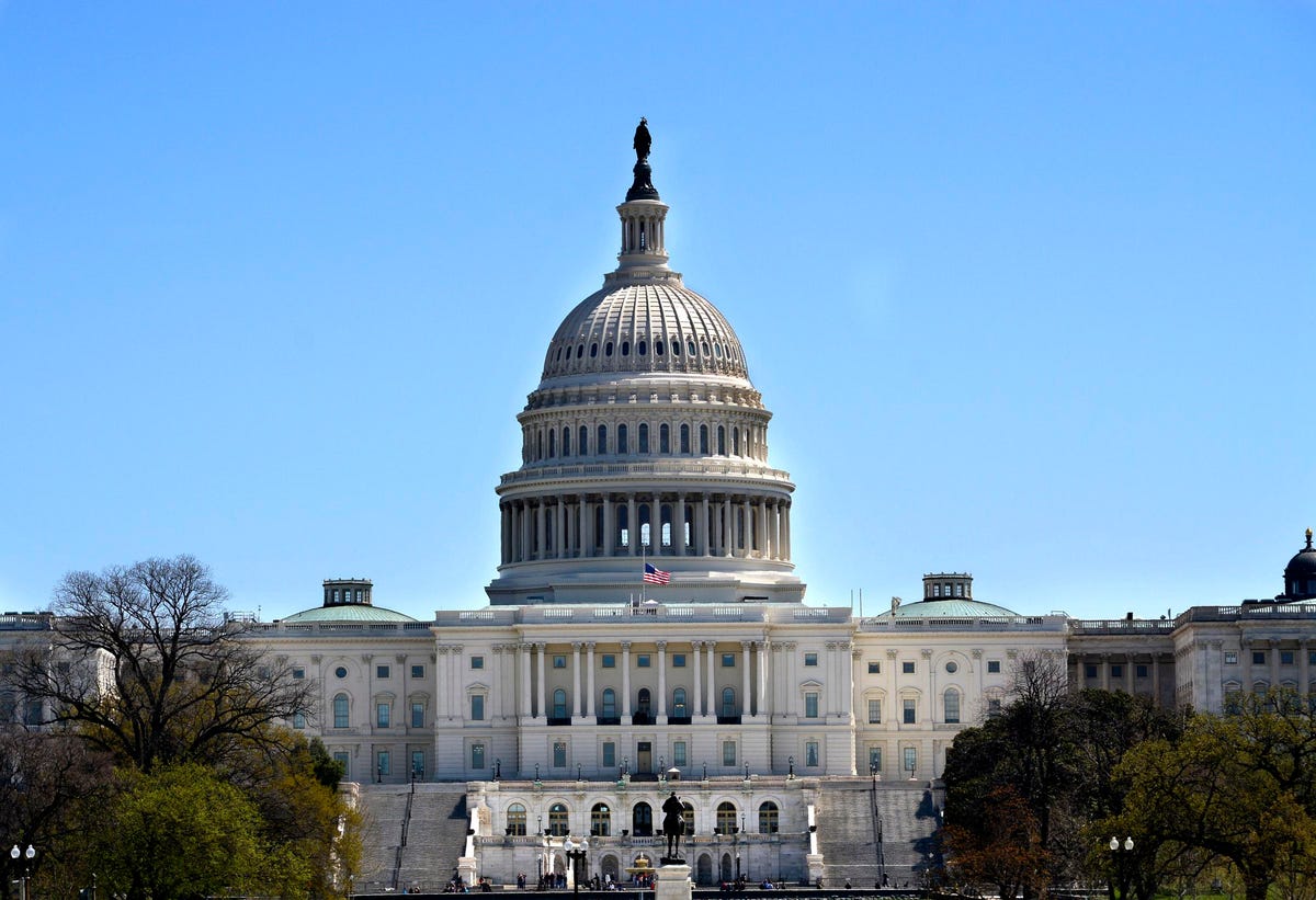 U.S. House Of Representatives Passes Federal Cannabis Legalization Bill MORE Act