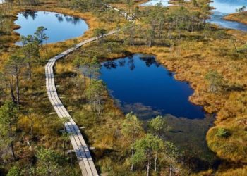 Five Stunning National Parks To Visit Across The Baltics