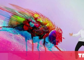 5 things I hate about being a developer