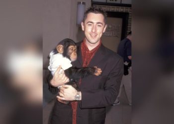 Alan Cumming offers $10K reward for info on missing chimpanzee co-star