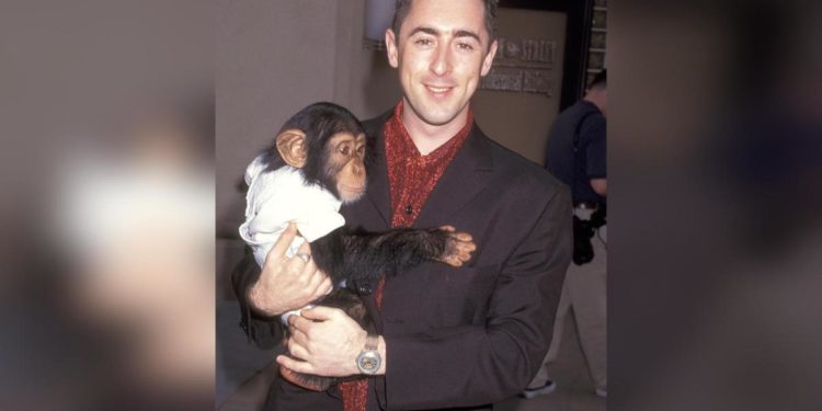 Alan Cumming offers $10K reward for info on missing chimpanzee co-star
