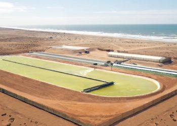 Brilliant Planet is running algae-farms to pull carbon out of the air – TechCrunch