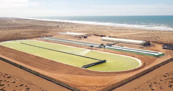 Brilliant Planet is running algae-farms to pull carbon out of the air – TechCrunch