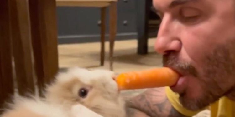 David Beckham shares a carrot with family's bunny for Easter