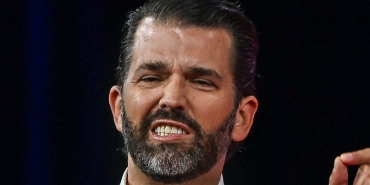 Donald Trump Jr. Detailed In Text How To Seize White House After 2020 Vote: Report