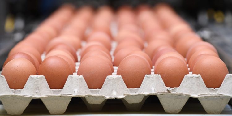 Egg Prices Up 52% As Avian Flu Has Affected Birds Across 22 States