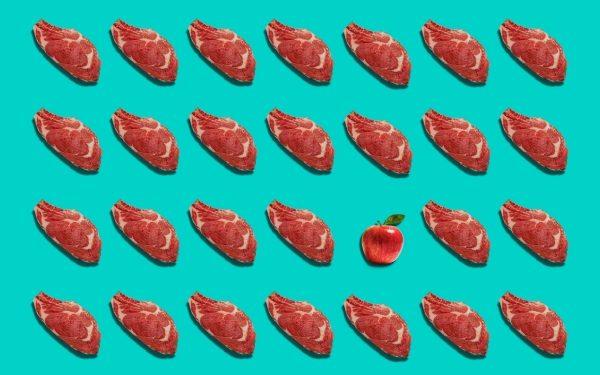 Here’s Y Combinator’s answer to cultivated meat’s scaling problem – TechCrunch