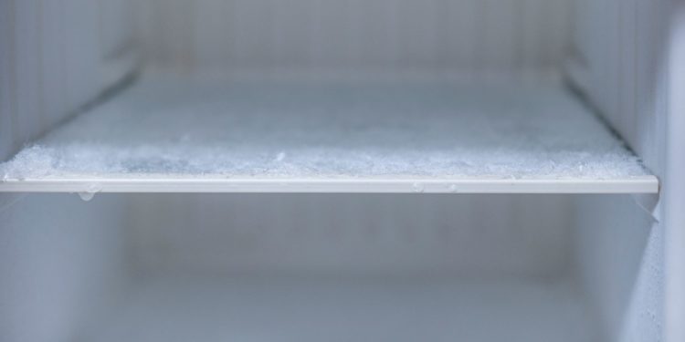 Man Accused Of Stuffing Grandmother In Freezer To Die