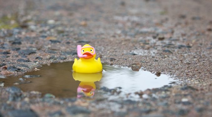 Mayfield’s Arvind Gupta discusses startup fundraising during a downturn – TechCrunch