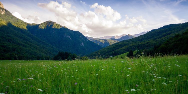 Measuring nature's effects on physical and mental health