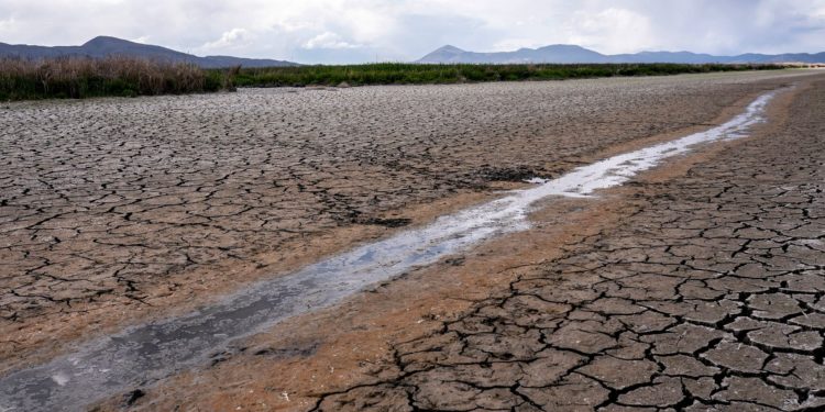 Millions Ordered To Cut Water Use In Drought-Stricken California