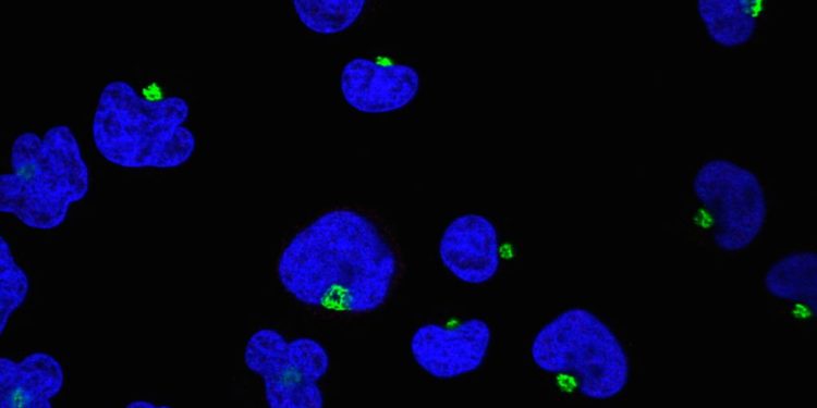 Researchers developing Covid vaccine for immunocompromised people
