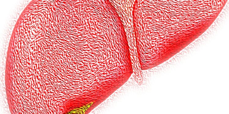 Synthetic 'forever chemicals' known as PFAS linked to liver damage