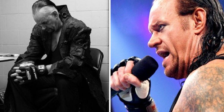 The Undertaker possesses immense knowledge when it comes to pro-wrestling