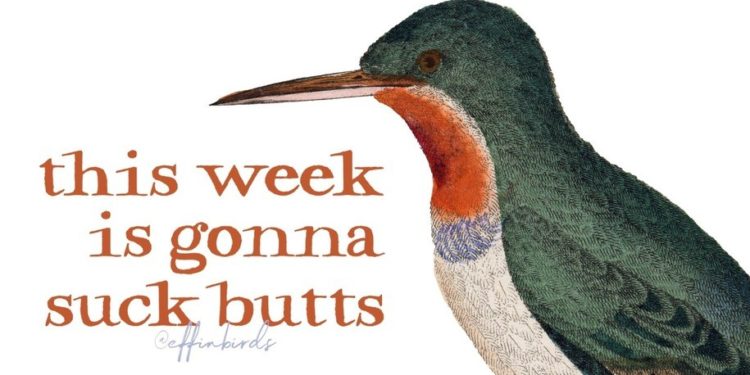 This Week in Statehouse Action: Take Me Out edition