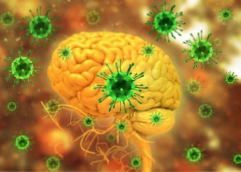 Two Emerging Viral Adversaries—Nipah And Hendra Virus—May Soon Meet Their Match