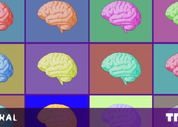 Your brain shrinks as you age — and now scientists can prove it