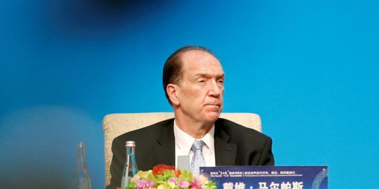 World Bank sees economies reducing dependence on Russia for energy, on China for supply chains