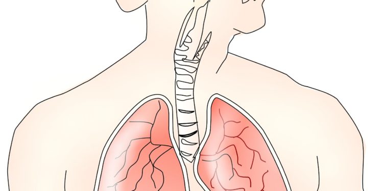 A user's guide to keeping your lungs healthy and functional