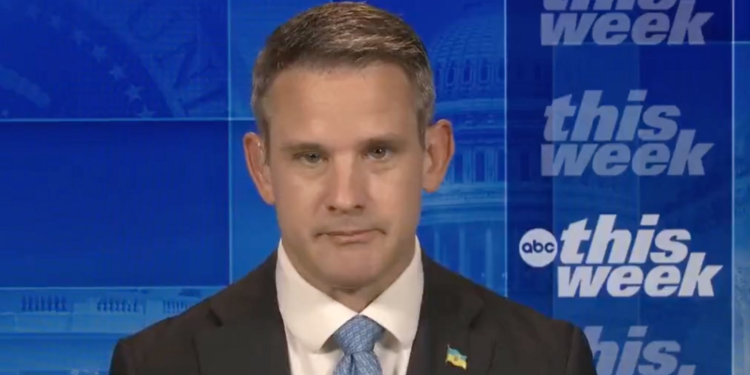 Adam Kinzinger Calls Gun Age Limits 'A No-Brainer,' Considers Assault Weapon Ban
