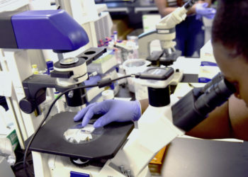 Cancer deaths among Black people drop, but still higher than other groups