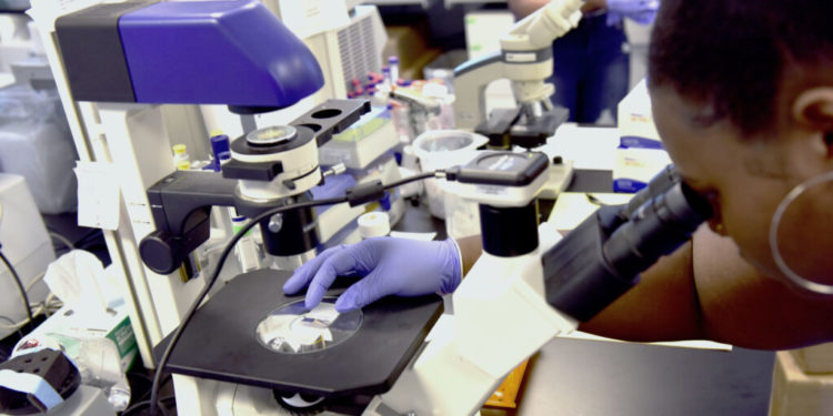 Cancer deaths among Black people drop, but still higher than other groups