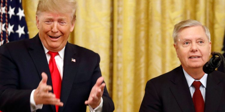 'Dancing Monkey' Lindsey Graham Performs For Donald Trump In 'Extraordinary' New Audio