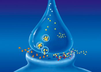 Dopamine Helps In Processing And Identifying Emotions: Study