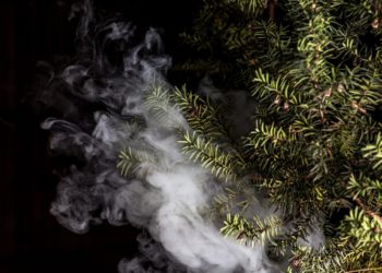 E-cigarettes may be more effective than nicotine patches in helping pregnant women who smoke quit, and are just as safe