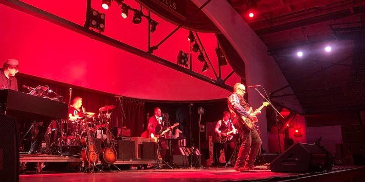 Elvis Costello Performs Final Show of Bob Dylan Center Opening