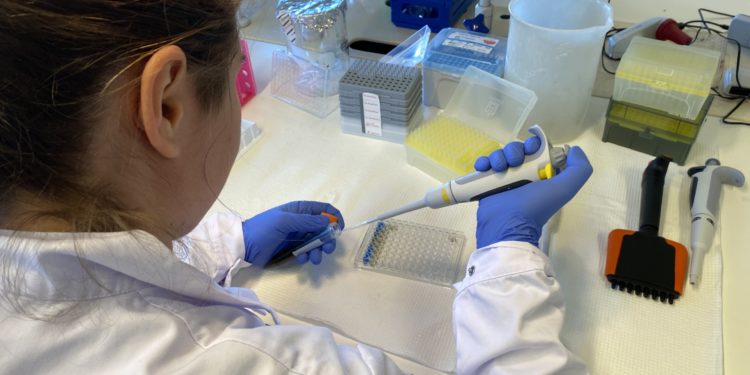 Environmental pollutants play a role in the development of type 1 diabetes 