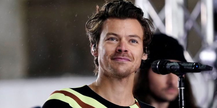 Harry Styles Commits To Big Donation After Texas School Shooting