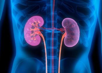 How ACE-2 And CD147 Mediate Covid-19 Infection In The Kidneys