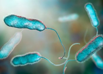 Legionnaires’ Disease Outbreak in NYC Kills 1 Person And Sickens 19